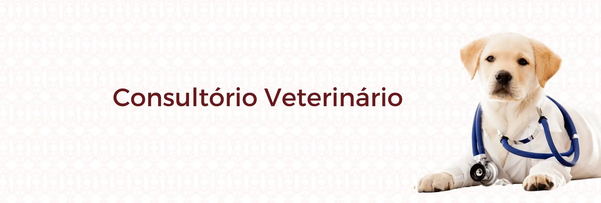 Namu-Royal-Pet-Store-Consultorio-Veterinario.webp